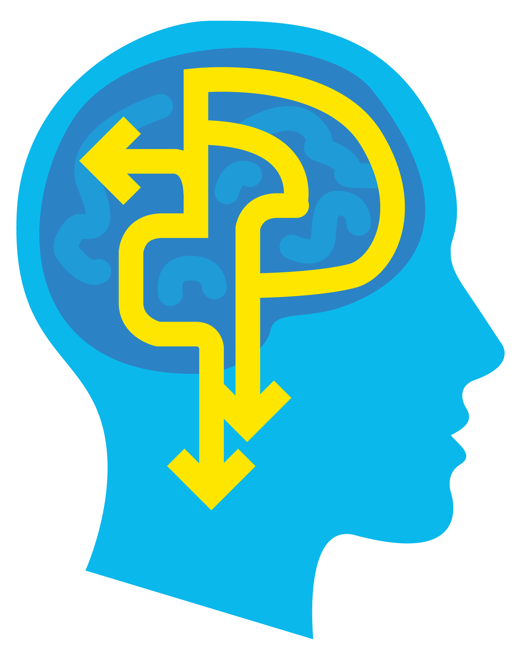 Universiteit Leiden - Ruimtelijke Dyslexie